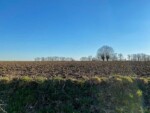 Galgenveld wandelroute