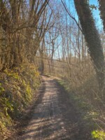 Galgenveld wandelroute