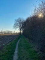 Galgenveld wandelroute