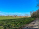 Grote Molenbeek wandeling