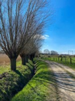 Grote Molenbeek wandeling