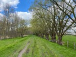 Bellebroekwegel