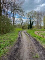 Wandelen in Denderbelle