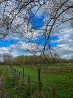 Wandelen in Denderbelle