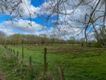 Wandelen in Denderbelle