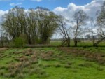 Wandelen in Denderbelle