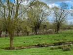 Wandelen in Denderbelle