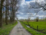 Wandelen in Denderbelle