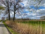 Wandelen in Denderbelle