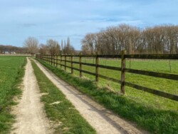 Massemen ontdekken via het Molenbeekpad