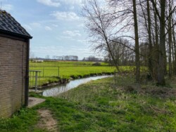 Massemen ontdekken via het Molenbeekpad
