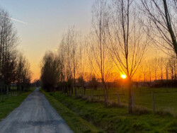 Linde van Bavegem route
