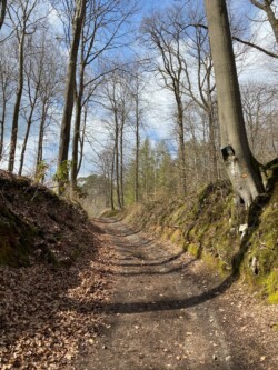 wandeling Villers-la-Ville
