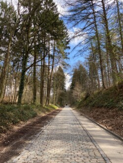 wandeling Villers-la-Ville
