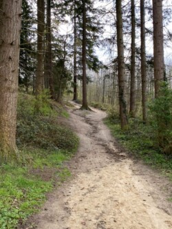 wandeling Villers-la-Ville
