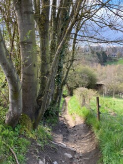 wandeling Villers-la-Ville