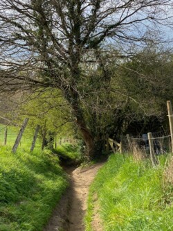 wandeling Villers-la-Ville