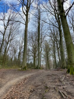 wandeling Villers-la-Ville