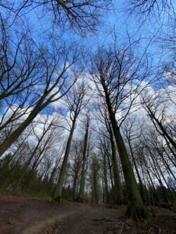 wandeling Villers-la-Ville