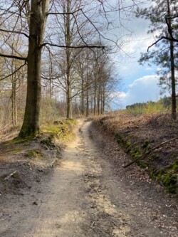 wandeling Villers-la-Ville