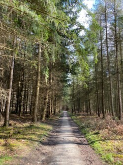wandeling Villers-la-Ville