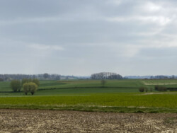 Pajottenland