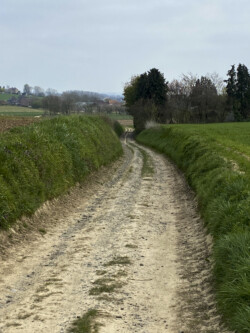 Windmolenwandeling