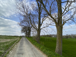 Windmolenwandeling