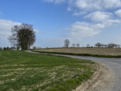 Windmolenwandeling