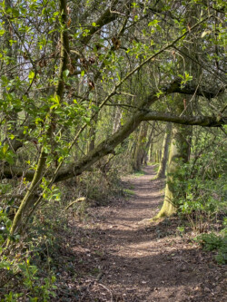Windmolenwandeling
