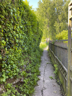 Wandeling landschapskubus