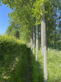 Wandeling landschapskubus Mayken