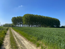 Wandeling landschapskubus Mayken