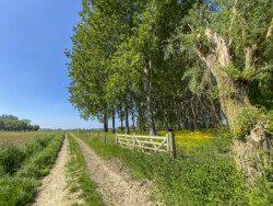 Wandeling landschapskubus Mayken