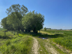 Wandeling landschapskubus Mayken