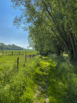 Wandeling landschapskubus Mayken