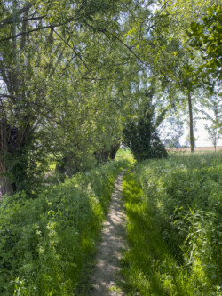 Wandeling landschapskubus Mayken