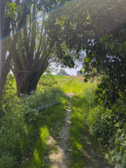 Wandeling landschapskubus Mayken