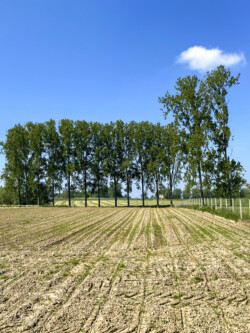 Wandeling landschapskubus Mayken