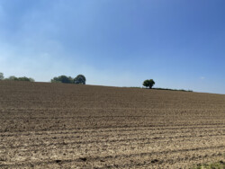 Wandeling landschapskubus Mayken