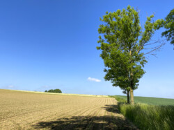 Wandeling landschapskubus Mayken