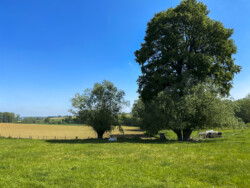 Wandeling landschapskubus Mayken