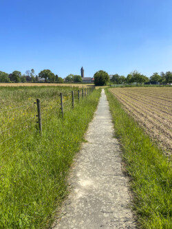 Landschapskubussen in Herne