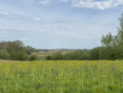 Landschapskubussen in Herne