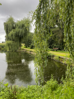 Wandeling Icarus