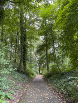 Wandeling Icarus