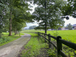Wandeling Icarus