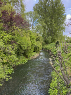 Wandeling Kubus Pieter