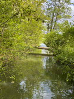 Wandeling Kubus Pieter