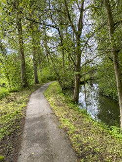 Wandeling Kubus Pieter